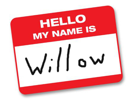 hellomyname