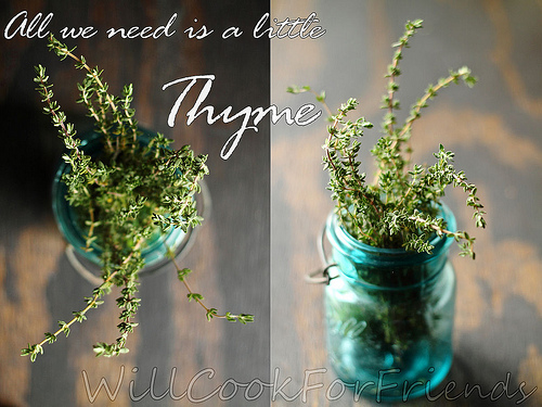 thyme together text b