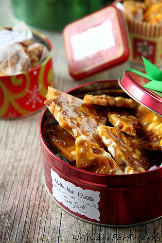 IMG_9845 2 Multi-Nut Brittle with Sea Salt 2/4