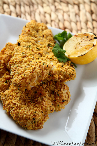 Tortilla Crusted Fish Fillets