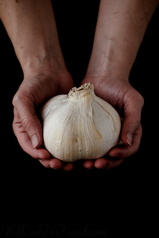 Elephant Garlic - what it is and how to use it