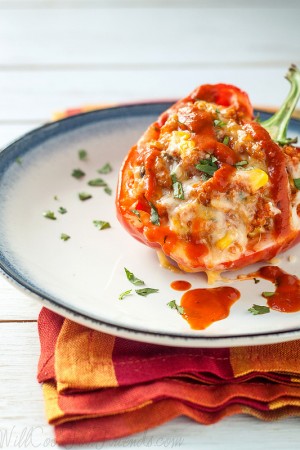 Enchilada Stuffed Bell Peppers with Homemade Red Chili Sauce 9789203975_98dba5b3f0_c