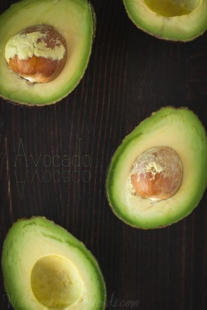 Avocado Chocolate Mousse – The Cure To What Ails You (FAK Friday) 9825786985_6d438a2787_c