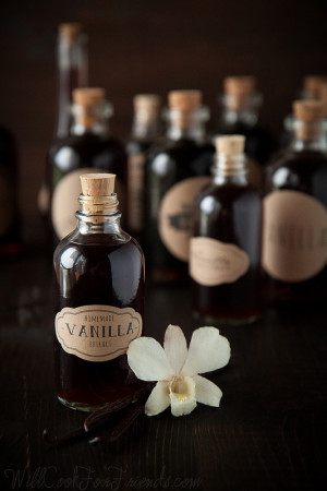 Homemade Vanilla Extract – Better & Cheaper Than Store-Bought (FAK Friday) vanilla