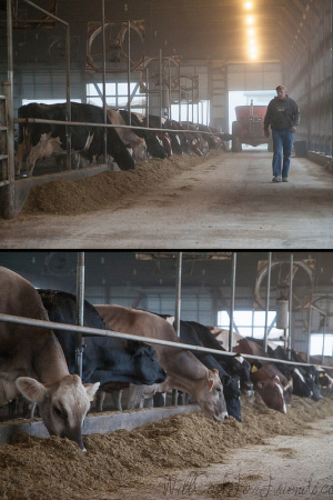 The Ohio Dairy Adventure, 2013 (FAK Friday) 10615366856_27baf4ae69_c