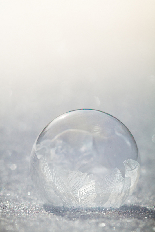 Bubbles in Ice (photo by Willow Arlen)