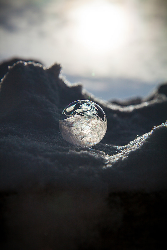 Bubbles in Ice (photo by Willow Arlen)