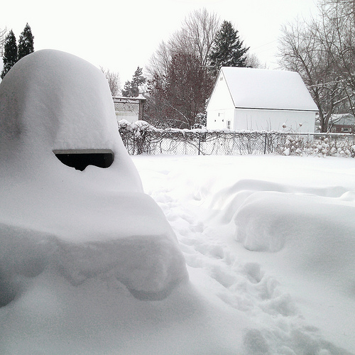 Snow Day! (photo by Willow Arlen)