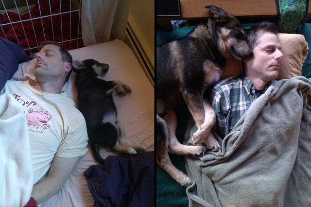 Before and After - 6 Months of Puppyhood