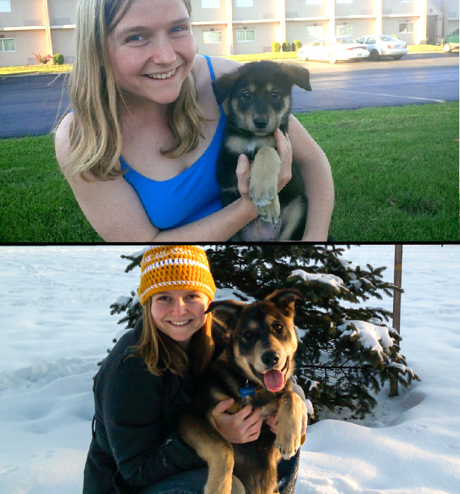 Before and After - 6 Months of Puppyhood