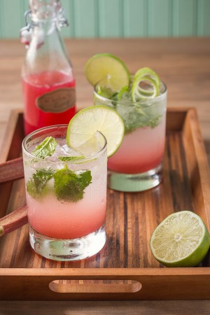 Rhubarb Mojitos with Rhubarb & Lime Syrup Rhubarb Mojitos with Rhubarb Lime Syrup | Will Cook For Friends