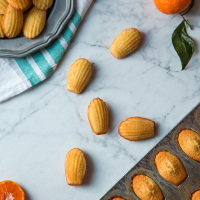 madeleines, web-10