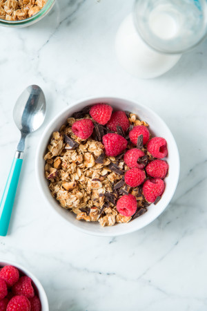 Toasted Honey And Hazelnut Granola & 6 Tips For Homemade Granola Perfection Honey and Hazelnut Granola, web file-8