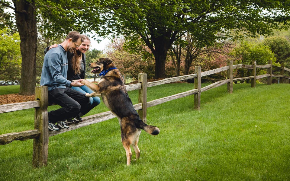 Anniversary, copyright Willow Arlen 2016