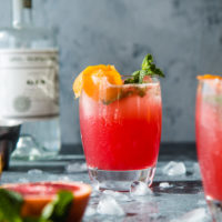 Blood Orange Vanilla Bean Gin And Tonic